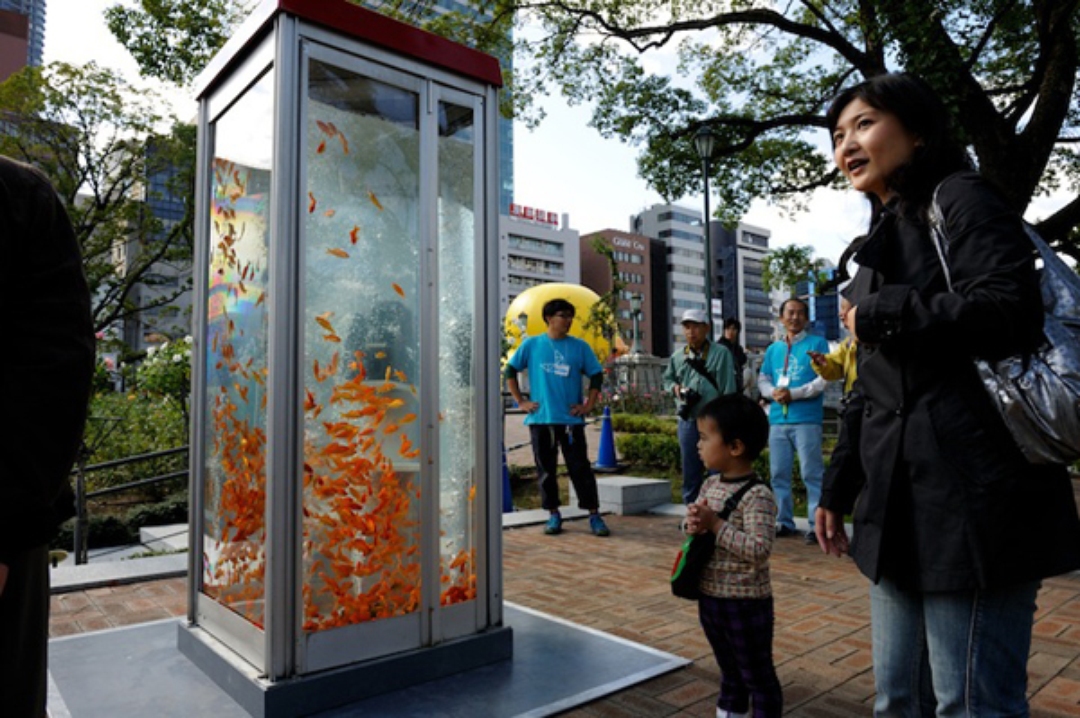 Phone Booths Converted Into Goldfish Aquariums_3